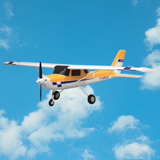 FMS Ranger 1220mm